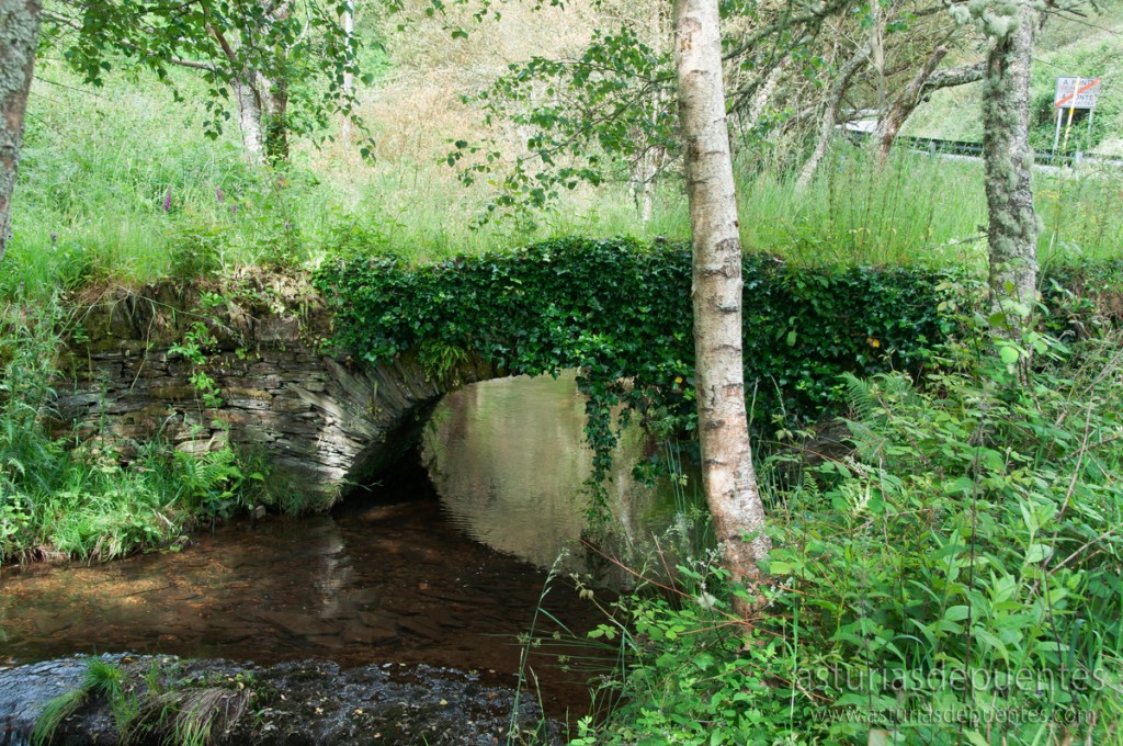 Puente de Penacova, Villanueva de Oscos