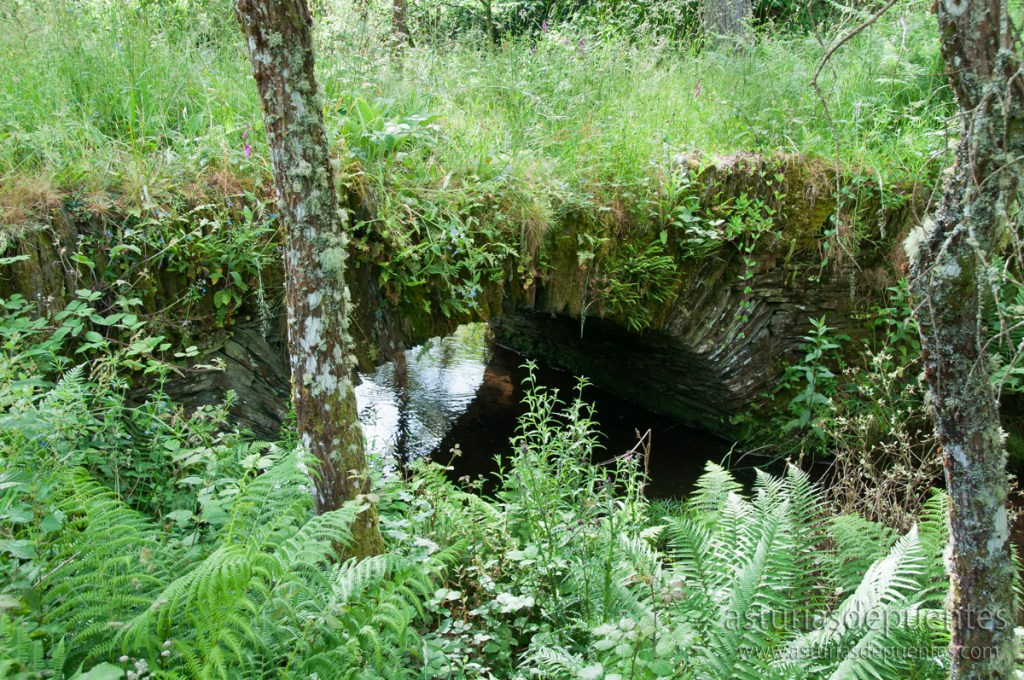 Puente de Penacova, Villanueva de Oscos