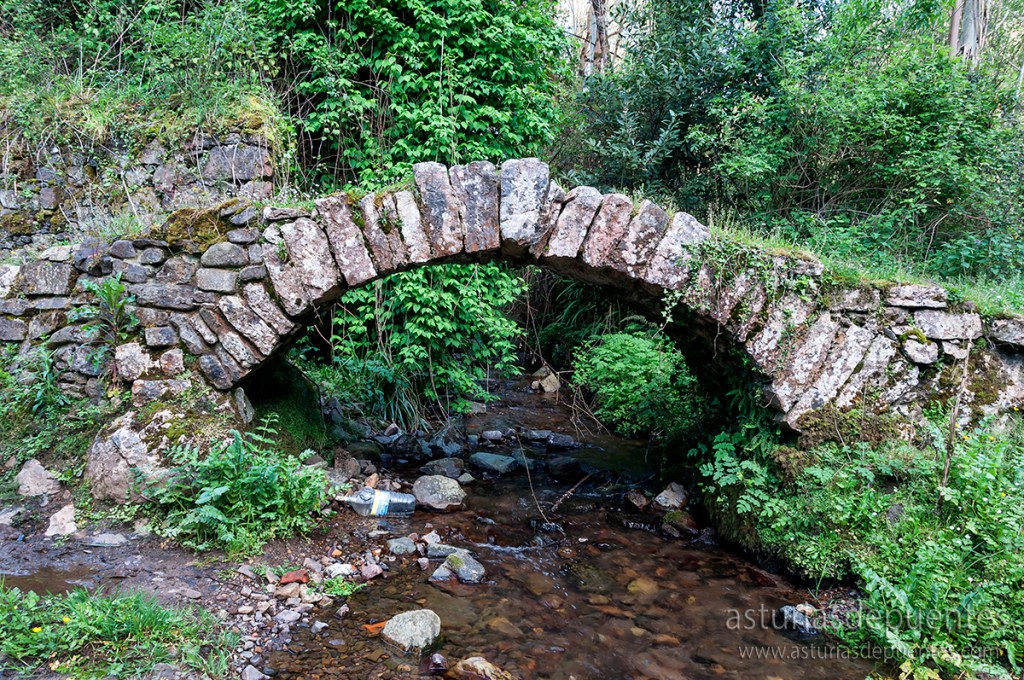 De puente a puente&nbsp;166