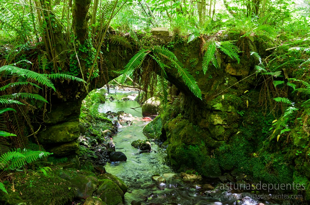 De puente a puente&nbsp;169